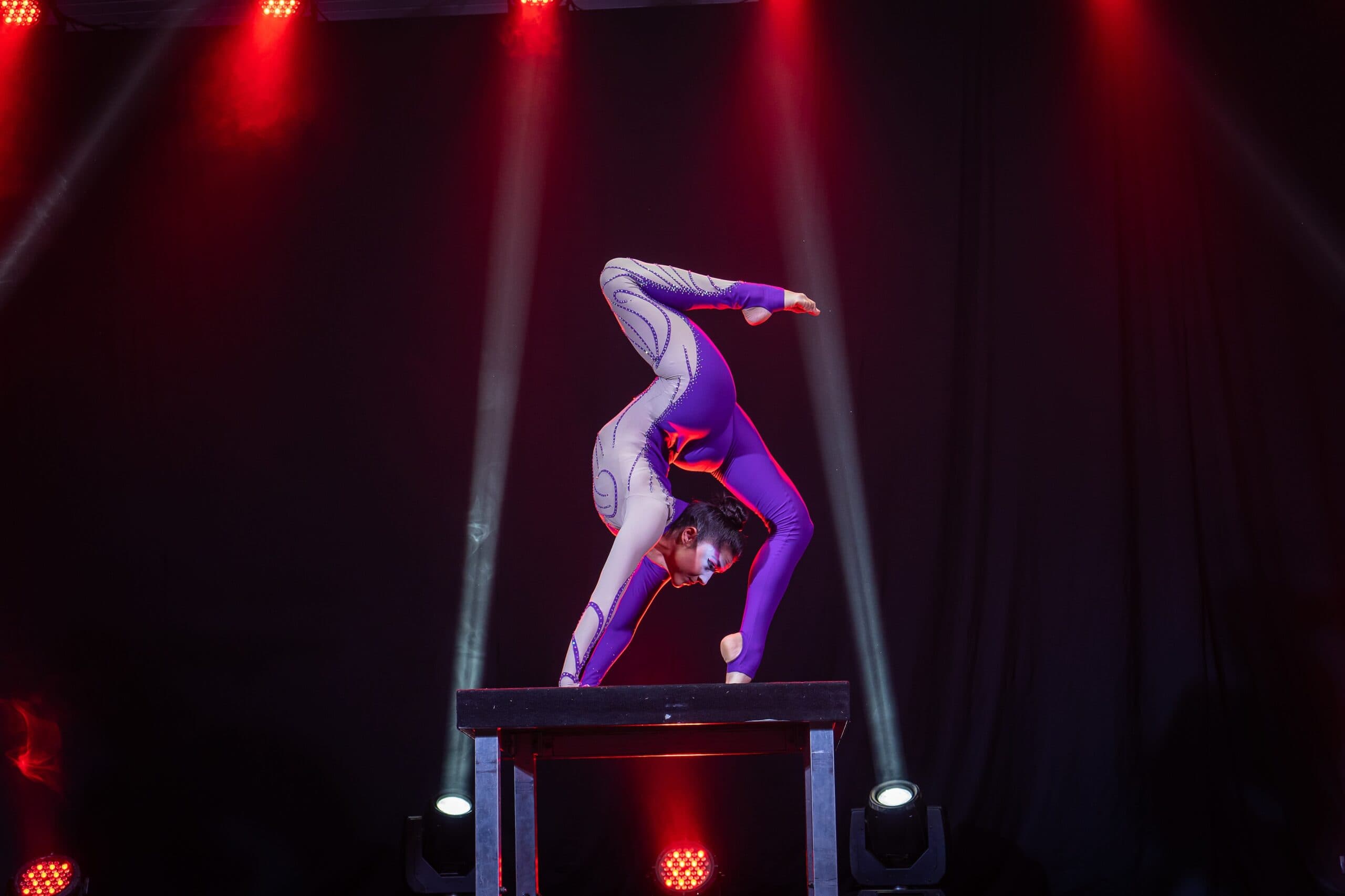 Circolando, Circolação, circo, circo moderno