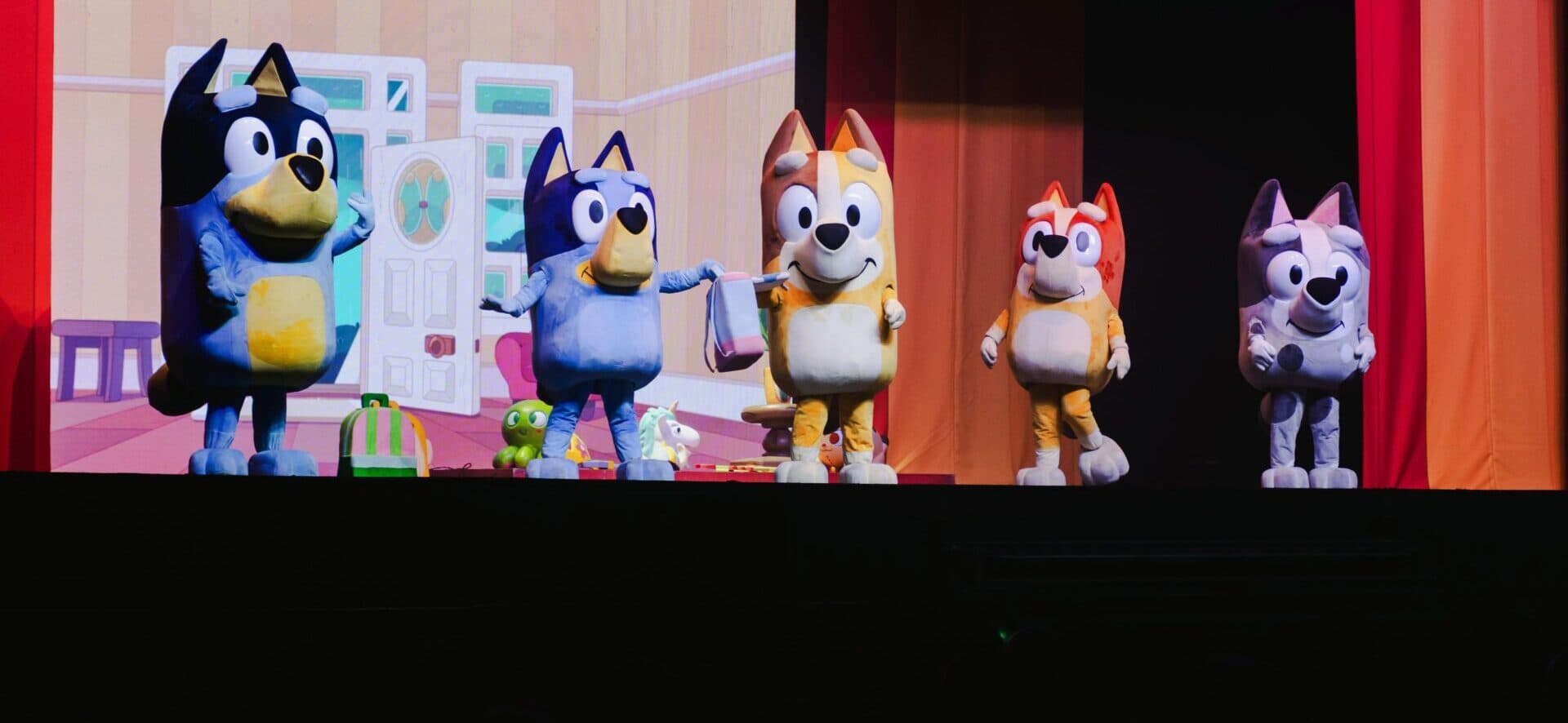 Bluey ao Vivo