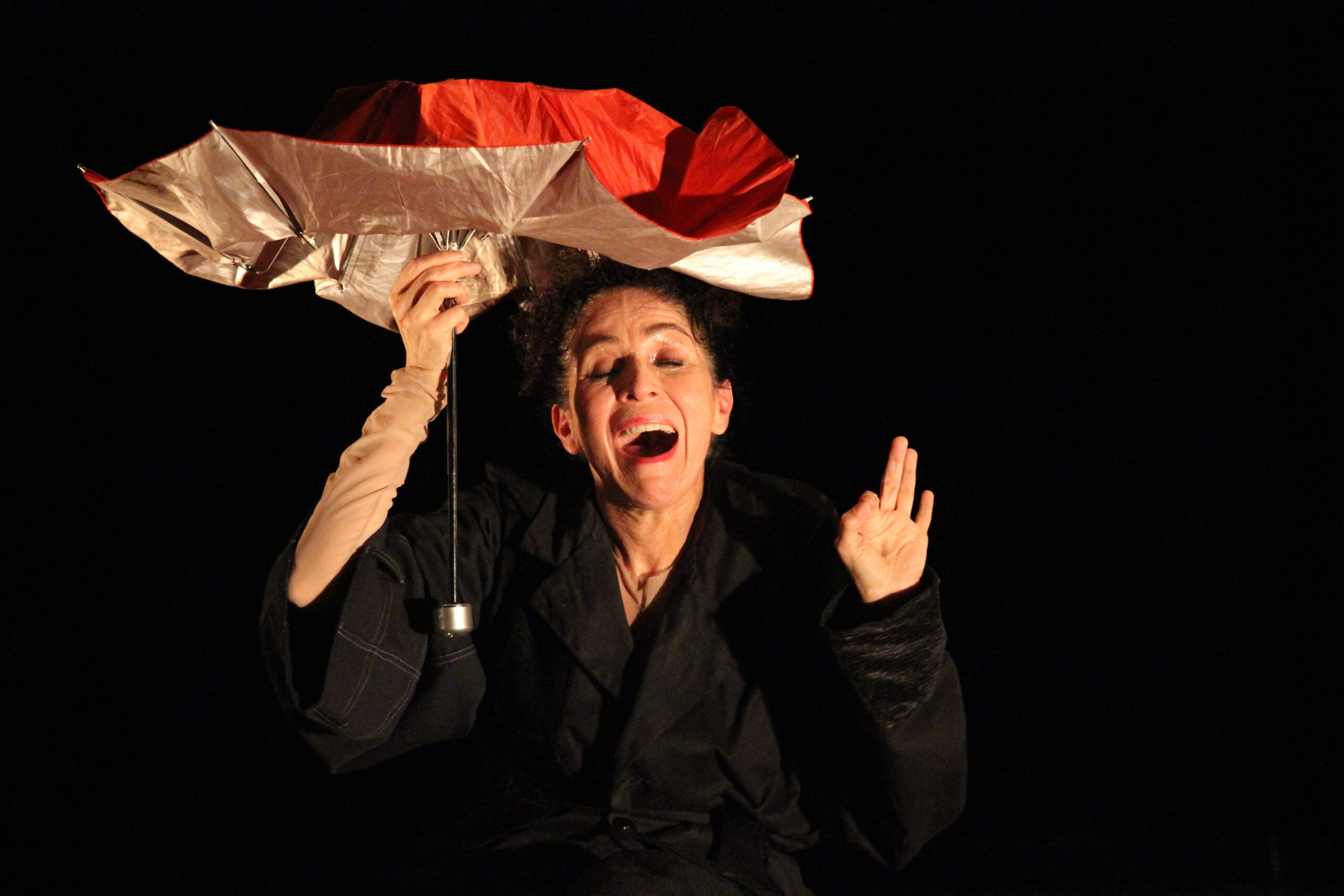 D'Existir, Cia Mariana Muniz de Dança