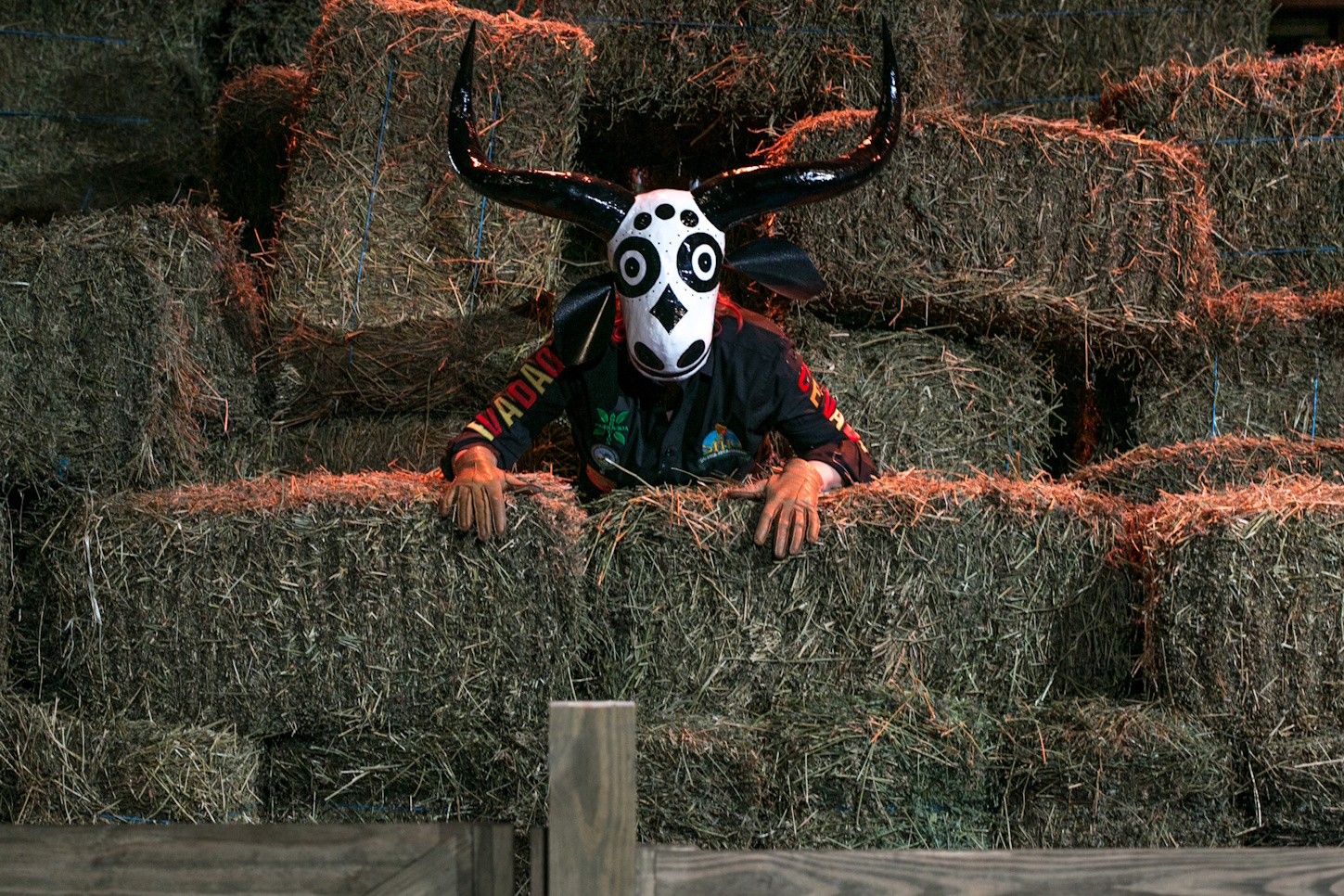 Agropeça — Foto de divulgação (Lígia Jardim)