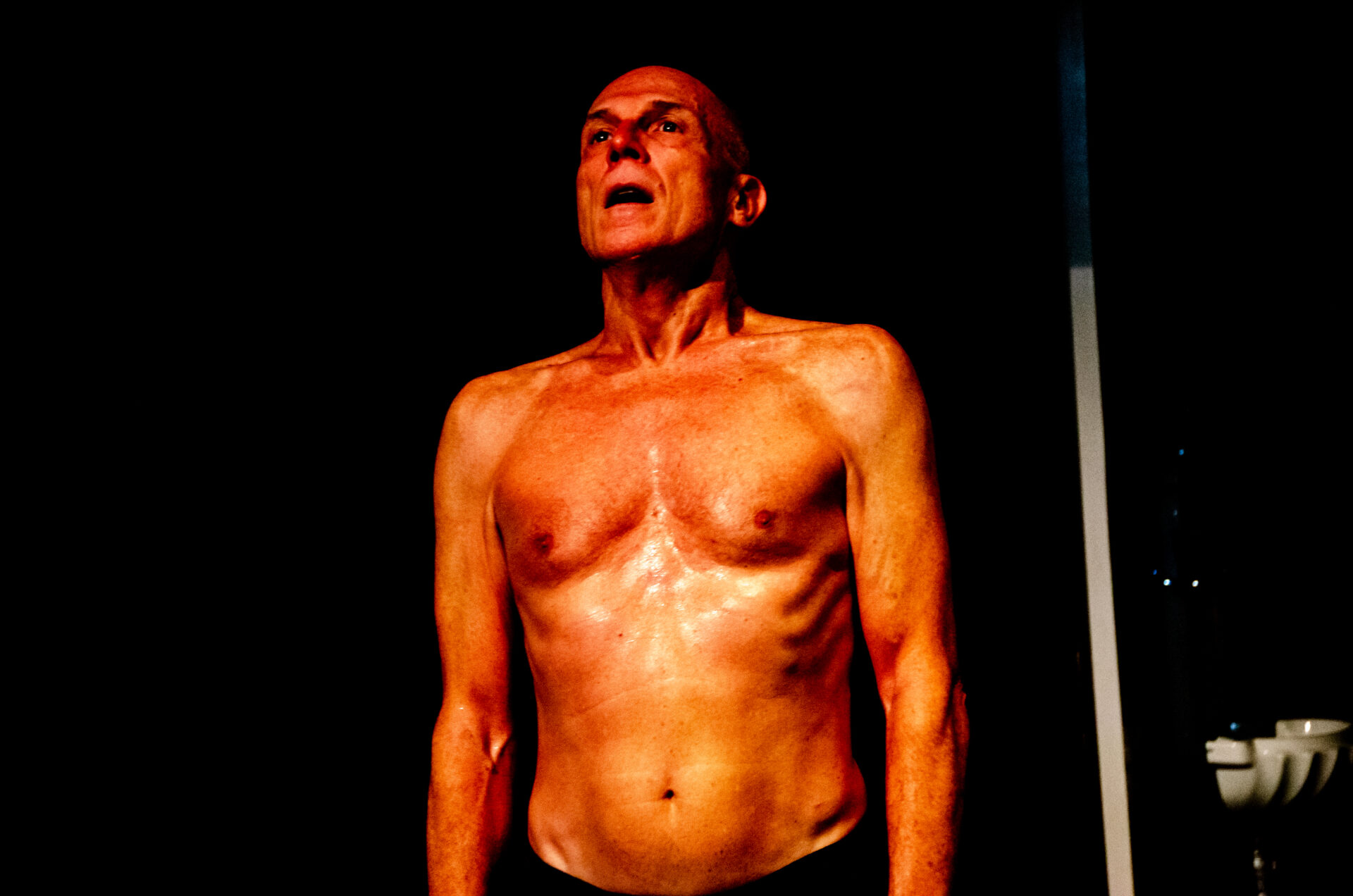 CONCERTO PARA UM CORPO TRAQUEJADO